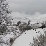 Cosy, Coastal Cottage- Beach, Pub And Shop Nearby *