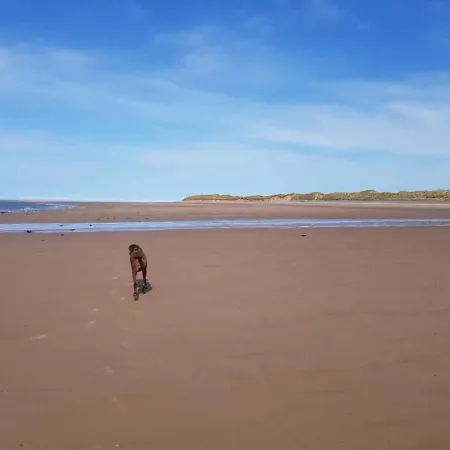 Nyaraló Cosy, Coastal Cottage- Beach, Pub And Shop Nearby *